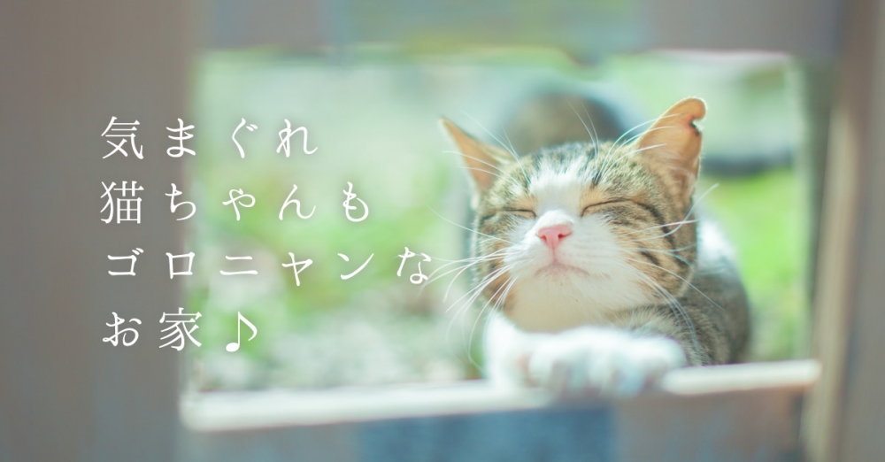 気まぐれ猫ちゃんもゴロニャンなお家♪
