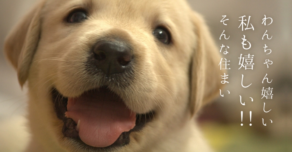 わんちゃん嬉しい!私も嬉しい!!そんな住まい